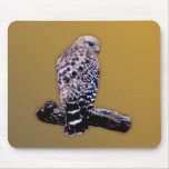 Short-tail Hawk Mouse Pad