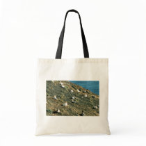 Short-tailed Albatross Bag