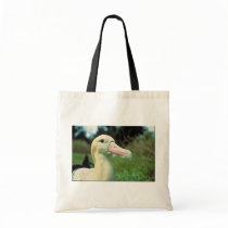 Short-tailed Albatross Bag