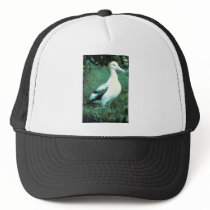 Short-tailed Albatross Mesh Hat