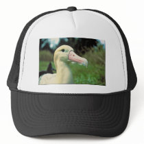 Short-tailed Albatross Trucker Hats