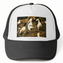 Short-tailed Albatross Mesh Hats