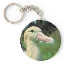 Short-tailed Albatross Key Chain