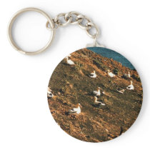 Short-tailed Albatross Key Chain