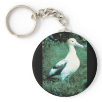 Short-tailed Albatross Key Chain