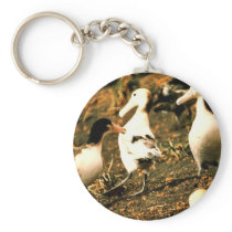 Short-tailed Albatross Keychains