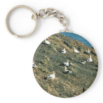 Short-tailed Albatross Keychain
