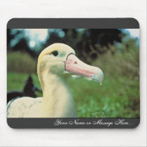 Short-tailed Albatross Mousepads