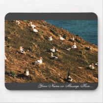 Short-tailed Albatross Mousepads