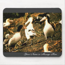 Short-tailed Albatross Mouse Pads