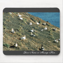 Short-tailed Albatross Mouse Pad