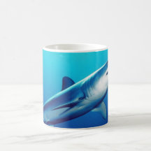 Shortfin Mako Shark Coffee Mugs