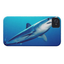 Shortfin Mako Shark iPhone 4 Cases