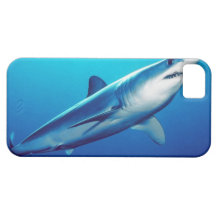 Shortfin Mako Shark iPhone 5 Cover