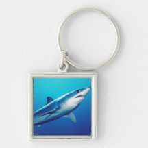 Shortfin Mako Shark Key Chains