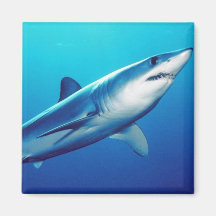Shortfin Mako Shark Magnet