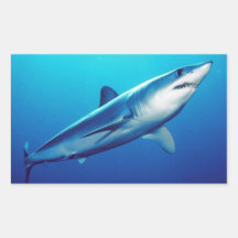 Shortfin Mako Shark Rectangle Sticker