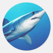 Shortfin Mako Shark Stickers