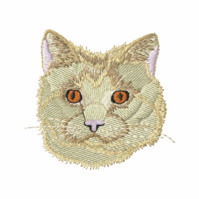 Shorthair Tabby Polo Shorthair Tabby Polo
