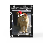 SHORTY5X7 christmas Greeting Card