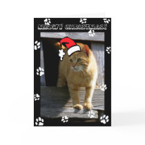 SHORTY5X7 christmas cards by AnnaWight SHORTY5X7 christmas cards