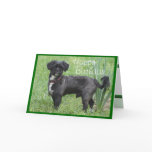 Shorty by Iris-customize any occasion Greeting Card