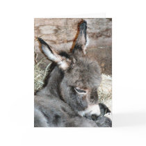 Shorty cards