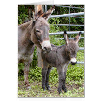Shorty & Mama cards