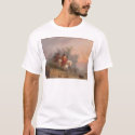 Shoshoni Indians (1069A) t-shirts