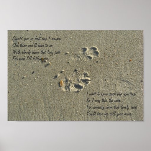 Should you go first, dog paw prints in sand Poster Zazzle