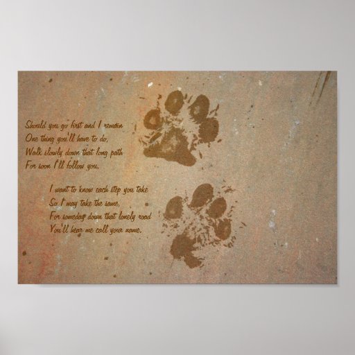 Should you go first, paw prints on stone Poster