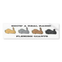 Show A Real Rabbit Flemish Giant Bumper Sticker bumper stickers by HaleysRabbitFarm Show A Real Rabbit Flemish Giant Bumper Sticker bumper stickers
