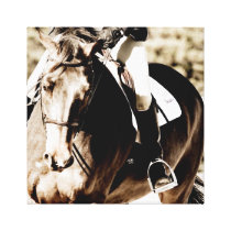 Show Horse