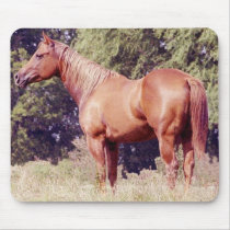 Show Horse mousepads
