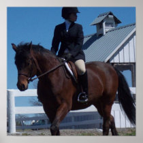 Show Horse Poster