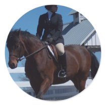 Show Horse Sticker