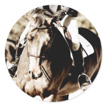 Show Horse Stickers