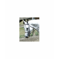 Show Horse T-Shirt by EquineGal Show Horse T-Shirt