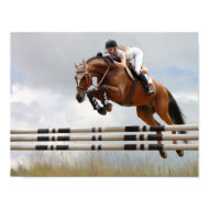 show jumping print