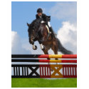 show jumping t-shirts by tristana show jumping t-shirts