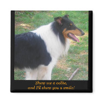 Show me a collie... magnets