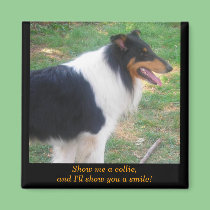 Show me a collie... magnets