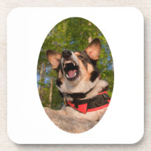 Show Me Angry Beverage Coaster