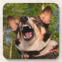 Show Me Angry Beverage Coasters