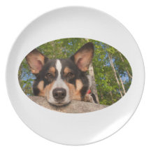 Show Me Sad Dinner Plates
