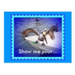 Show Me Your Fishy! Post Cards