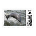 Show Off Stamp by EmilyPeak Show Off Stamp