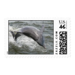 Show Off Stamp