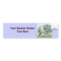 Show Racer and Flowers Color Bumper Sticker
