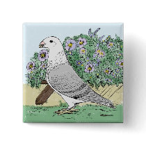 Show Racer and Flowers Color Button